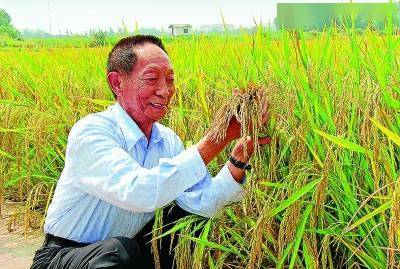 稻香泽被华夏,英雄本是老农 追记 杂交水稻之父 中国工程院院士袁隆平