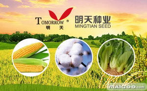 明天水稻种子品牌简介 明天种子怎么样 十大品牌网