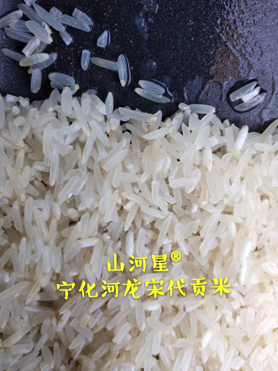 福建长粒香米贡米种子细长香大米稻种水稻谷种子汕稻常规稻自留种